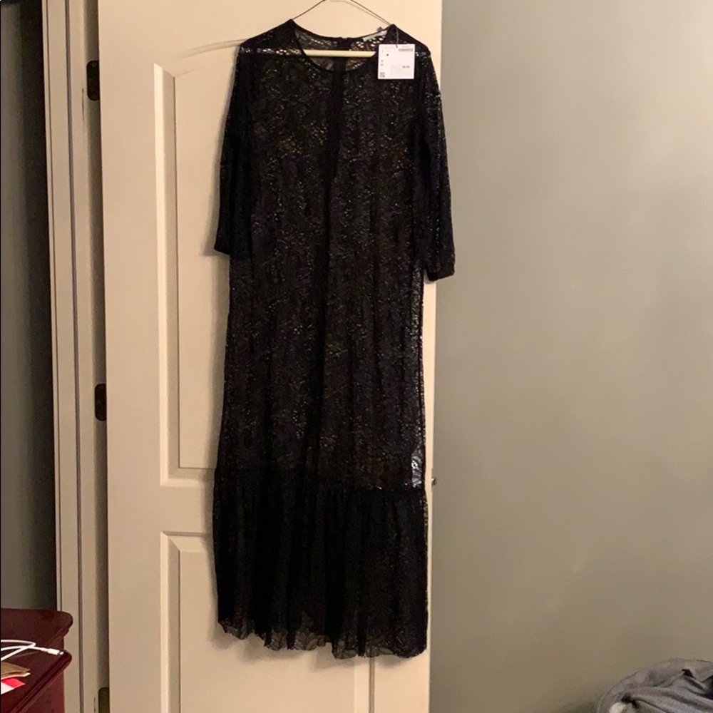 Zara sheer dress